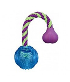 Trixie  Ball on a Rope Thermoplastic Rubber