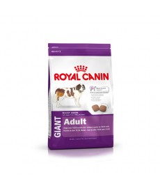 Royal Canin Giant Adult - 4 Kg