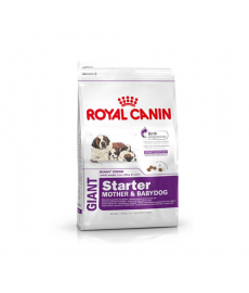 Royal Canin Giant Starter - 4 Kg