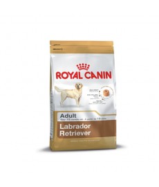 Royal Canin Labrador Adult -3 Kg