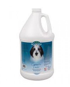 Bio-Groom N Fresh ( Odor Eliminating Shampoo ) Gallon