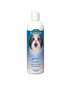 Bio-Groom 'N'Fresh Odour Eliminating Shampoo-355ml