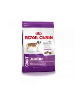Royal Canin Giant Junior - 4 Kg