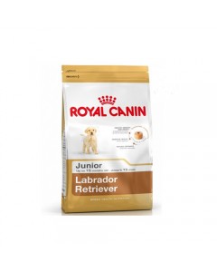 Royal Canin Labrador Junior - 3 Kg
