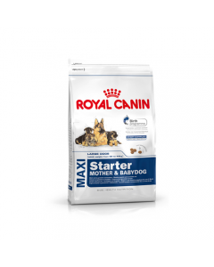 Royal Canin Maxi Starter - 1 Kg