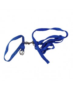 Woofi Dog Nylon Leash Set - Small - Blue