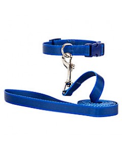 Woofi Dog Nylon Leash Set - Large - XL - Blue (Premium Quality)